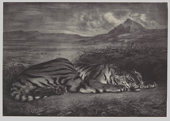 Royal Tiger by Eugène Delacroix, 1966